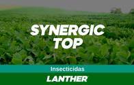 Insecticida Synergic Top - Lanther Quimica