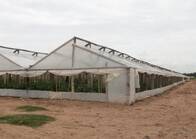 Invernaderos / Horticultura