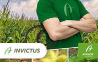 Herbicida Invictus Glufosinato de amonio - Atanor