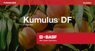 Fungicida Kumulus® DF Azufre - BASF