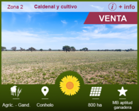 La Pampa - Venta Campo Agríc-Ganad 800 Ha Dpto. Conhelo