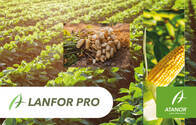 Fungicida Lanfor Pro - Atanor