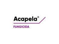 Fungicida Acapela® Picoxystrobin - Corteva