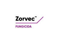 Fungicida Zorvec™ Oxathiapiprolin - Corteva