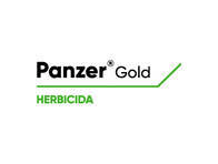 Herbicida Panzer® Gold Glifosato - Corteva 