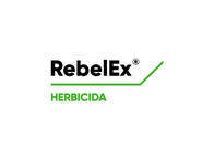Herbicida RebelEx® Cyhalofop + Penoxsulam - Corteva 