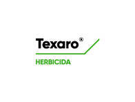 Herbicida Texaro Diclosulam+Halauxifen metil - Corteva 