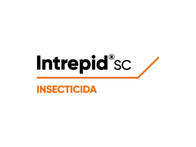 Insecticida Intrepid® Metoxifenocide - Corteva