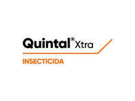 Insecticida Quintal® Xtra  - Corteva 