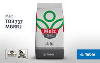 Semilla de Maíz Tobin TOB 737 MP2