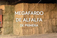 Megafardos De Alfalfa