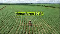 Herbicida Metsulfuron 60 SF - sobres 50Grs-Precio X Kg