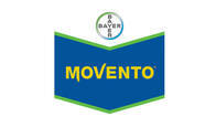Insecticida Movento® Spirotetramat - Bayer