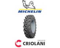 Neumaticos Michelin Megaxbib - 520/85R42