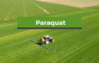 Herbicida Paraquat 27.6%
