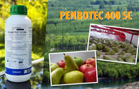 Fungicida Penbotec® 400 SC Agro Roca