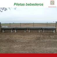Bebederos Piletas para ganadería PHVN 500 Litros de cemento