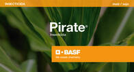 Insecticida Pirate® Clorfenapir - BASF