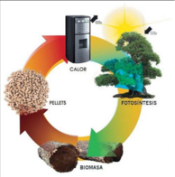Plantas De Energías Renovables -Biomasa-