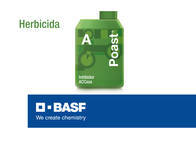 Herbicida Poast® Sethoxydim - BASF