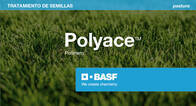 Polímero Polyace™ - Basf
