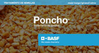 Curasemilla Insecticida Poncho® - Basf 
