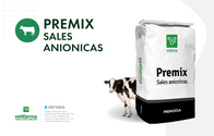 Premezcla Premix Sales Anionicas