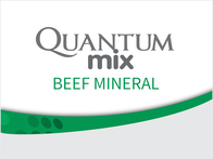 Suplemento Quantum mix Beef Mineral