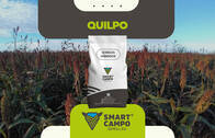 Quilpo Smartcampo