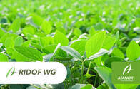 Herbicida Ridof WG Diclosulam - Atanor