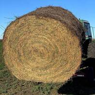 Rollos de alfalfa primera 1,20 mts