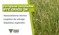 Semillas de Rye Grass 2N Smart Campo