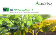 S-Million X 5 Lt - Herbicida S-Lactofen 36