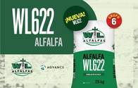Semillas de Alfalfa "WL 622" - Alfalfas WL 