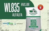 Semillas De Alfalfa "wl 835 Hvx.rr" - Alfalfas Wl