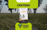 Semillas Centeno Smart Campo