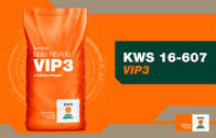 Semillas de Maíz KWS16-607 VIP3