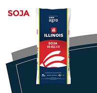 Soja IS-62.1 IPRO STS - Illinois