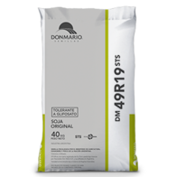 Soja DM 49R19 STS - DonMario Semillas
