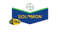 Insecticida Solomon OD Imidacloprid 21% Beta Cyflutrina 9% - Bayer
