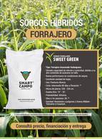 Sorgo Forrajero Sweet Green Smart Campo