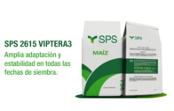 Maíz Sps 2615 Viptera3 - Sps Semillas