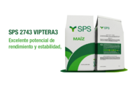 Maíz Sps 2743 Viptera3 - Sps Semillas
