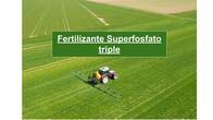 Fertilizante Superfosfato Triple De Calcio