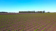 Tandil - 1000 Ha. Agricola