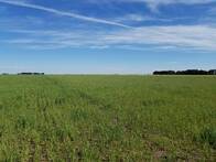Campo En Tandil 780 Has.