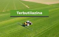 Herbicida Terbutilazina