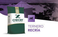 Ternero Recría Crecer- Bolsa X 25 Kg.