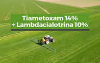 Insecticida Tiametoxam 14% + Lambdacialotrina 10%