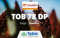 Semilla de Sorgo Doble Propósito Tobin TOB 78 DP con tecnología SProtect